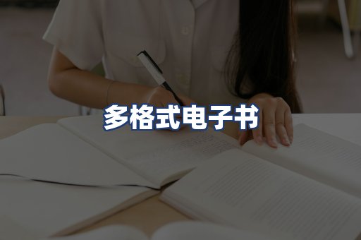 多格式电子书